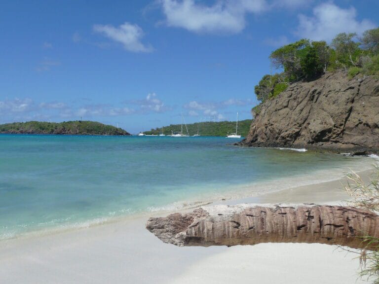 Drømmen om Karibia, seiling hav, palme