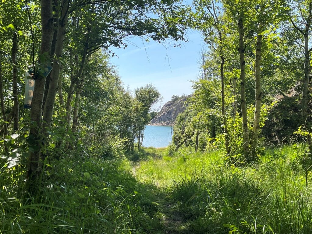 Kyststiene byr på enkel vandring i typisk bohuslänsk natur.