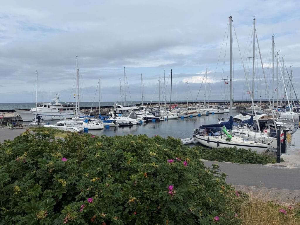 Østerby Havn er mange seileres favoritt på Læsø, med rolig atmosfære, gode restauranter og kort vei til stranden.